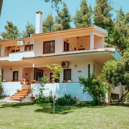 Forest House Near The Sea باراليا ساني المظهر الخارجي الصورة