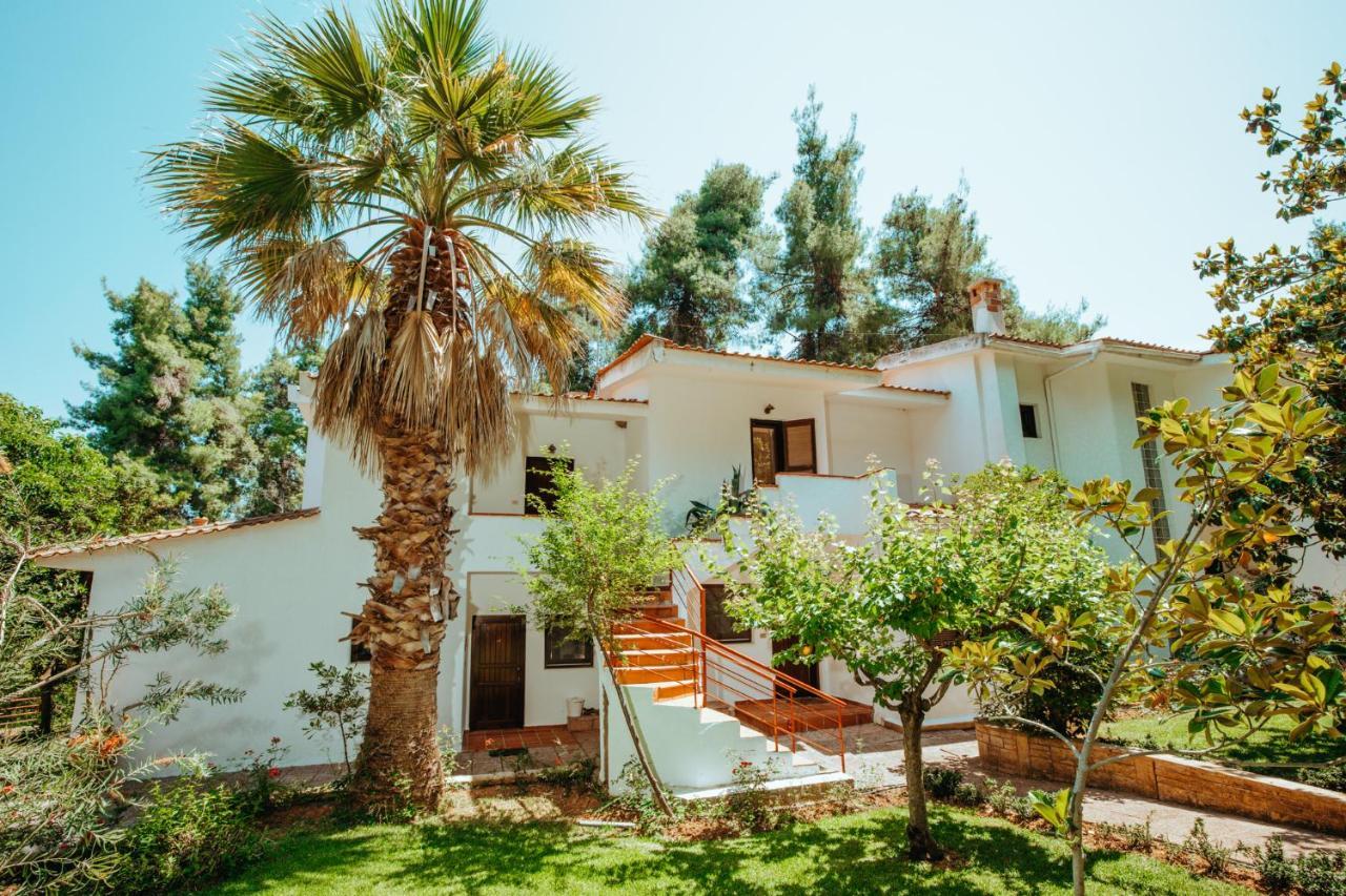 Forest House Near The Sea باراليا ساني المظهر الخارجي الصورة