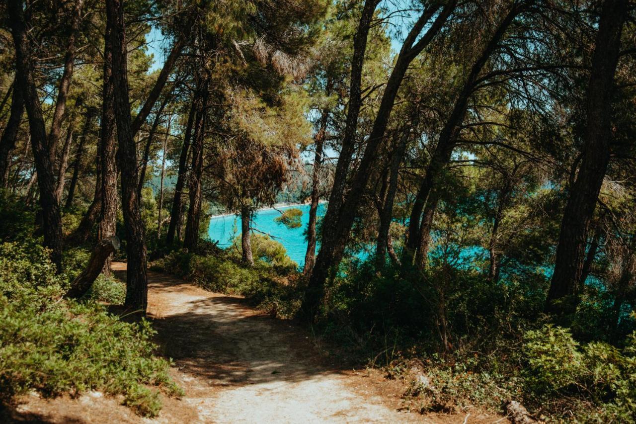 Forest House Near The Sea باراليا ساني المظهر الخارجي الصورة
