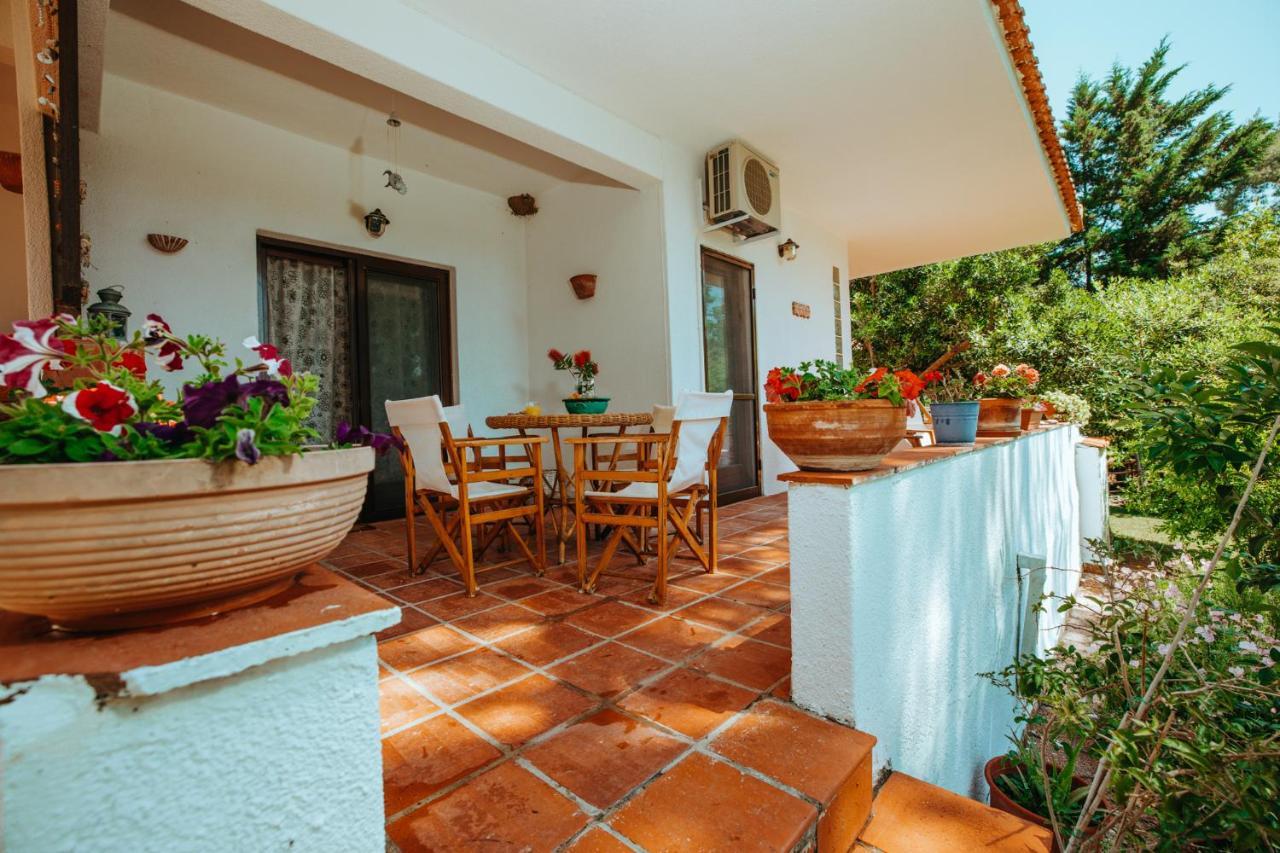 Forest House Near The Sea باراليا ساني المظهر الخارجي الصورة