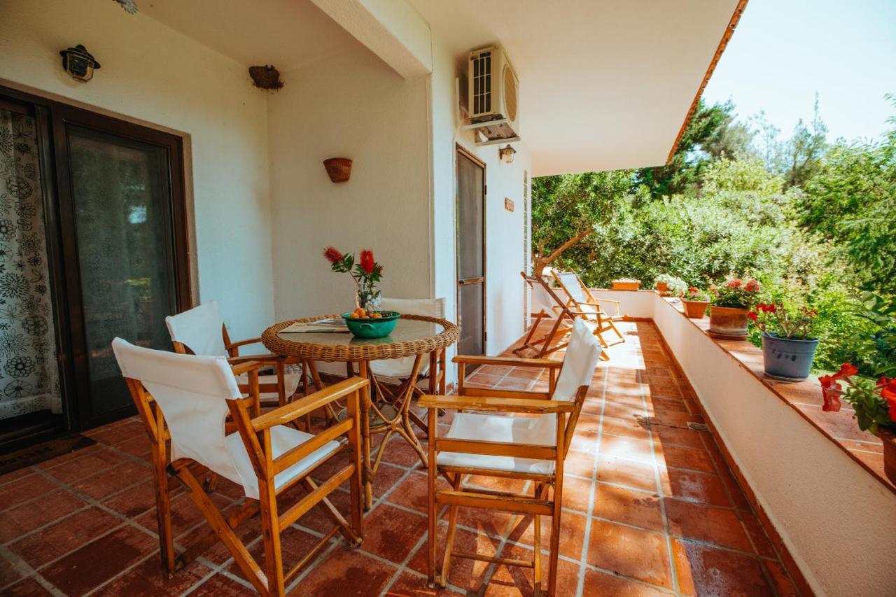 Forest House Near The Sea باراليا ساني المظهر الخارجي الصورة