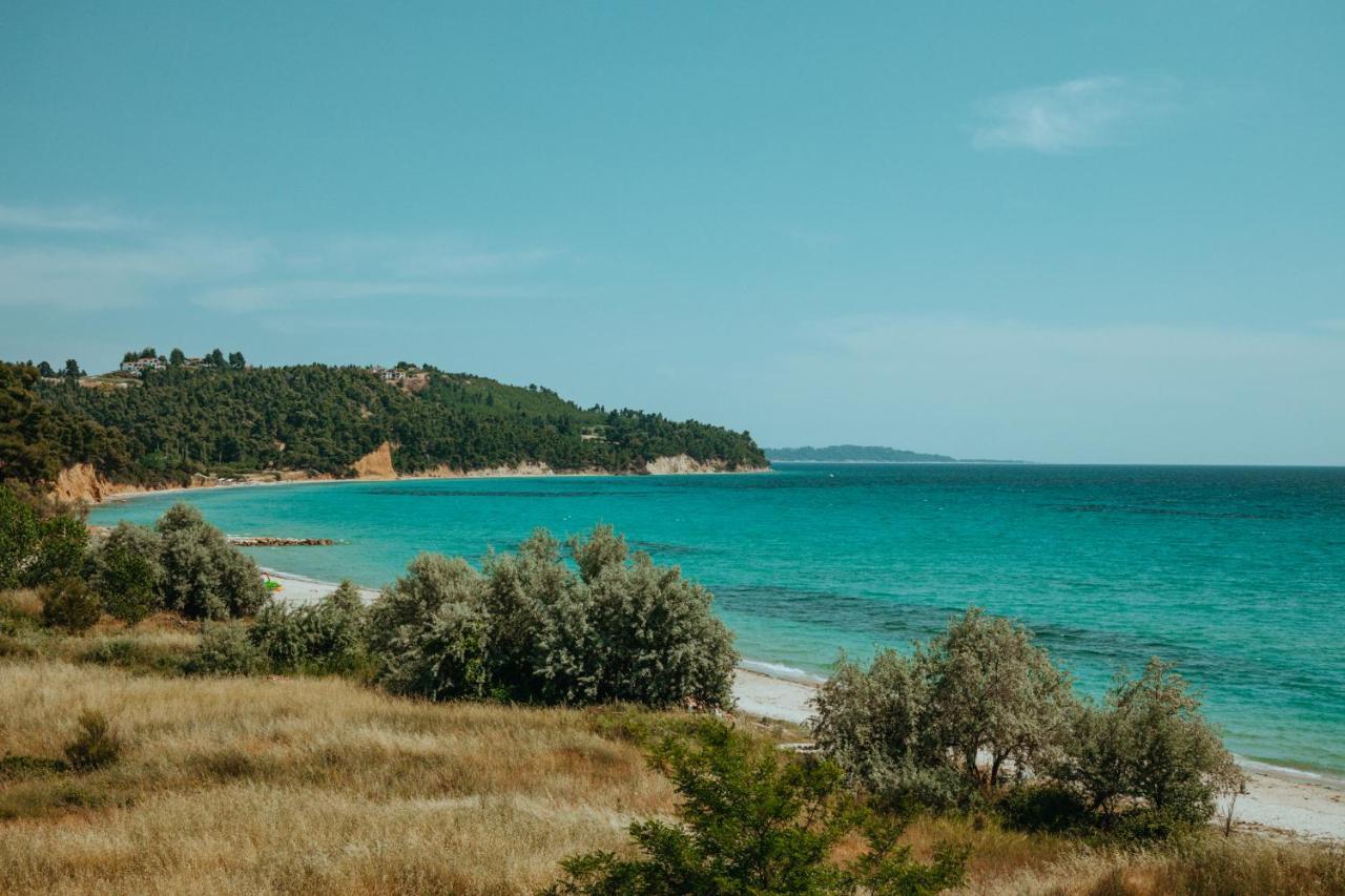 شقة Forest House Near The Sea باراليا ساني المظهر الخارجي الصورة