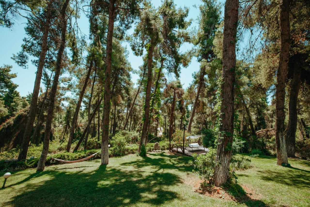 Forest House Near The Sea باراليا ساني المظهر الخارجي الصورة